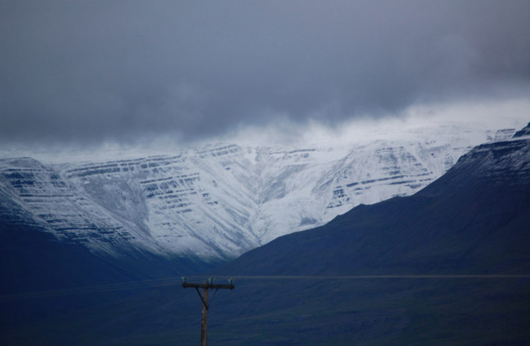 Juneau: Motherhoodwinked. A PTSD survivor’s tale.